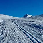 Apartment Luxury For Large Groups-tromsdalen- Free Indoor Parking