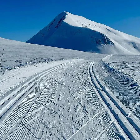 Luxury For Large Groups-tromsdalen- Free Indoor Parking