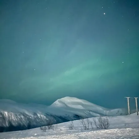 Luxury For Large Groups-tromsdalen- Free Indoor Parking *