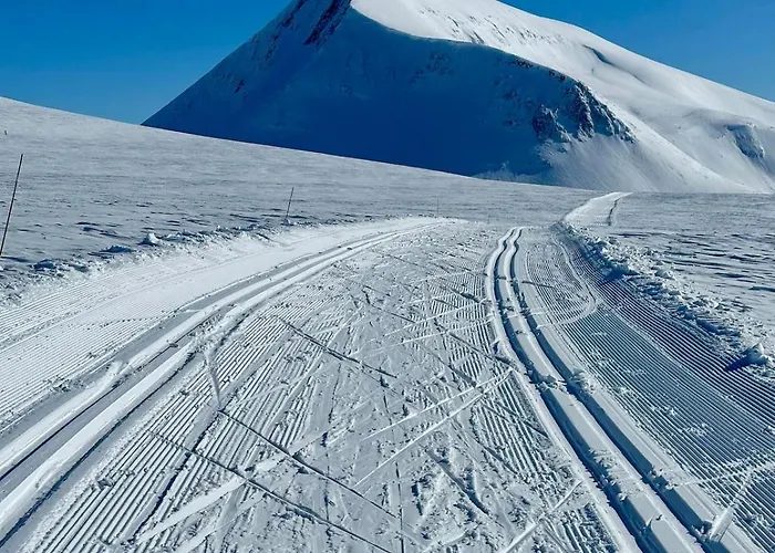 Luxury Apartment For Large Groups-Tromsdalen- Free Indoor Parking