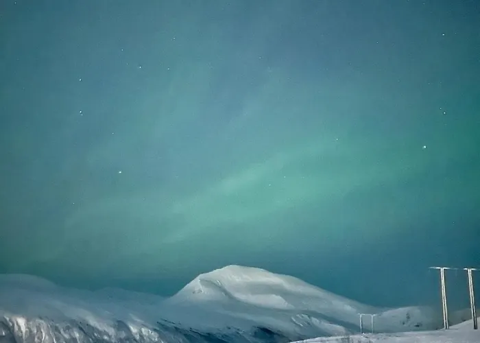 Luxury Apartment For Large Groups-Tromsdalen- Free Indoor Parking *