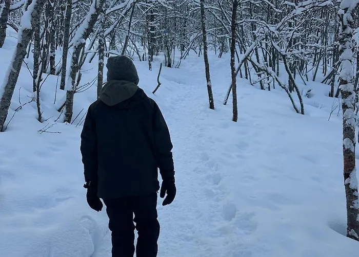 Luxury Apartment For Large Groups-Tromsdalen- Free Indoor Parking *